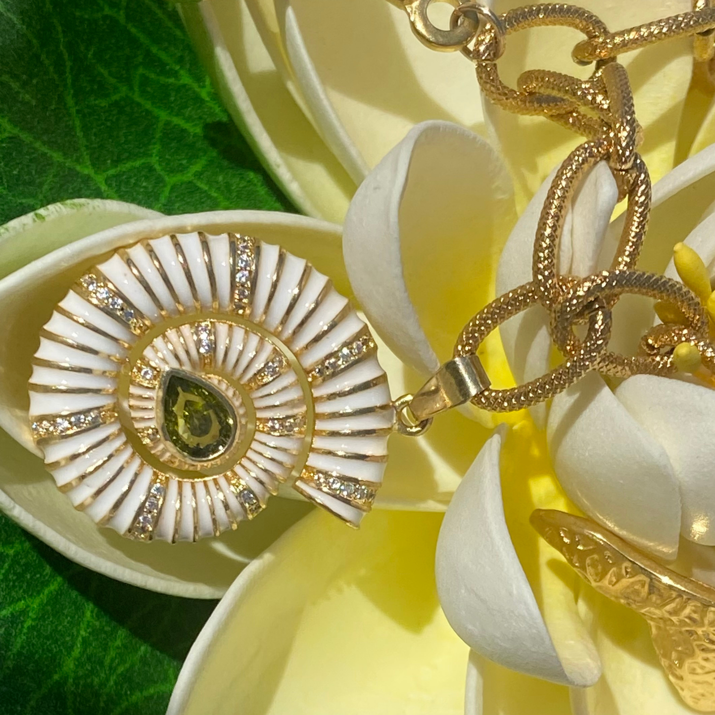Collier NAUTILUS blanc - charms marins & pendentif ammonite